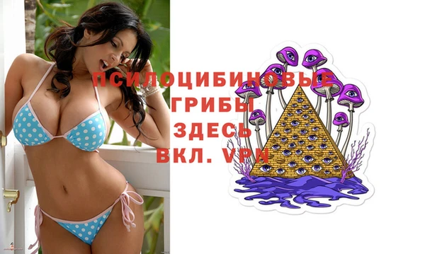 mdma Няндома