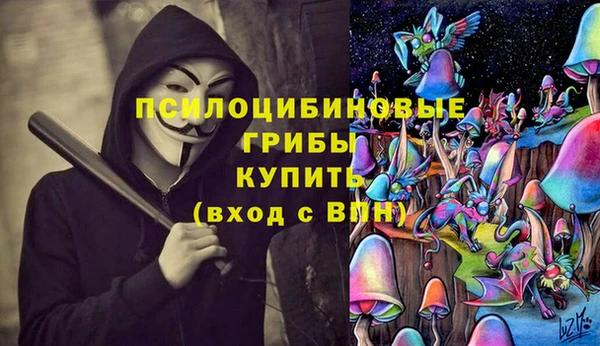 ECSTASY Нязепетровск