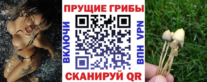 Псилоцибиновые грибы Magic Shrooms  наркошоп  Ясногорск 