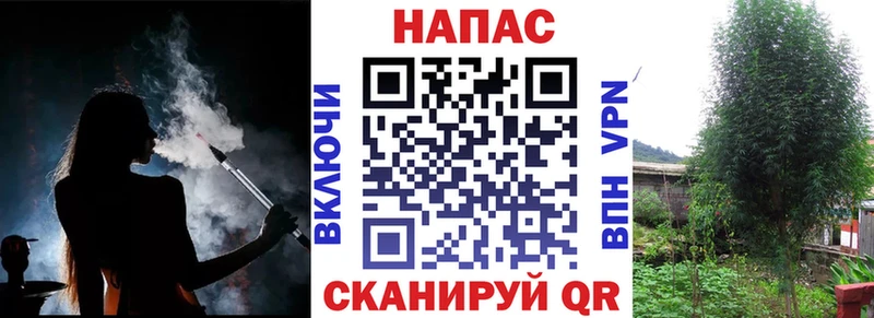 хочу наркоту  Ясногорск  Бошки марихуана сатива 